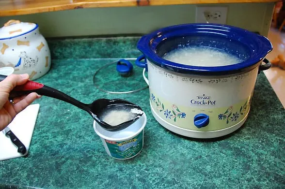 making frozen treat for dog